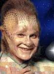 Neelix